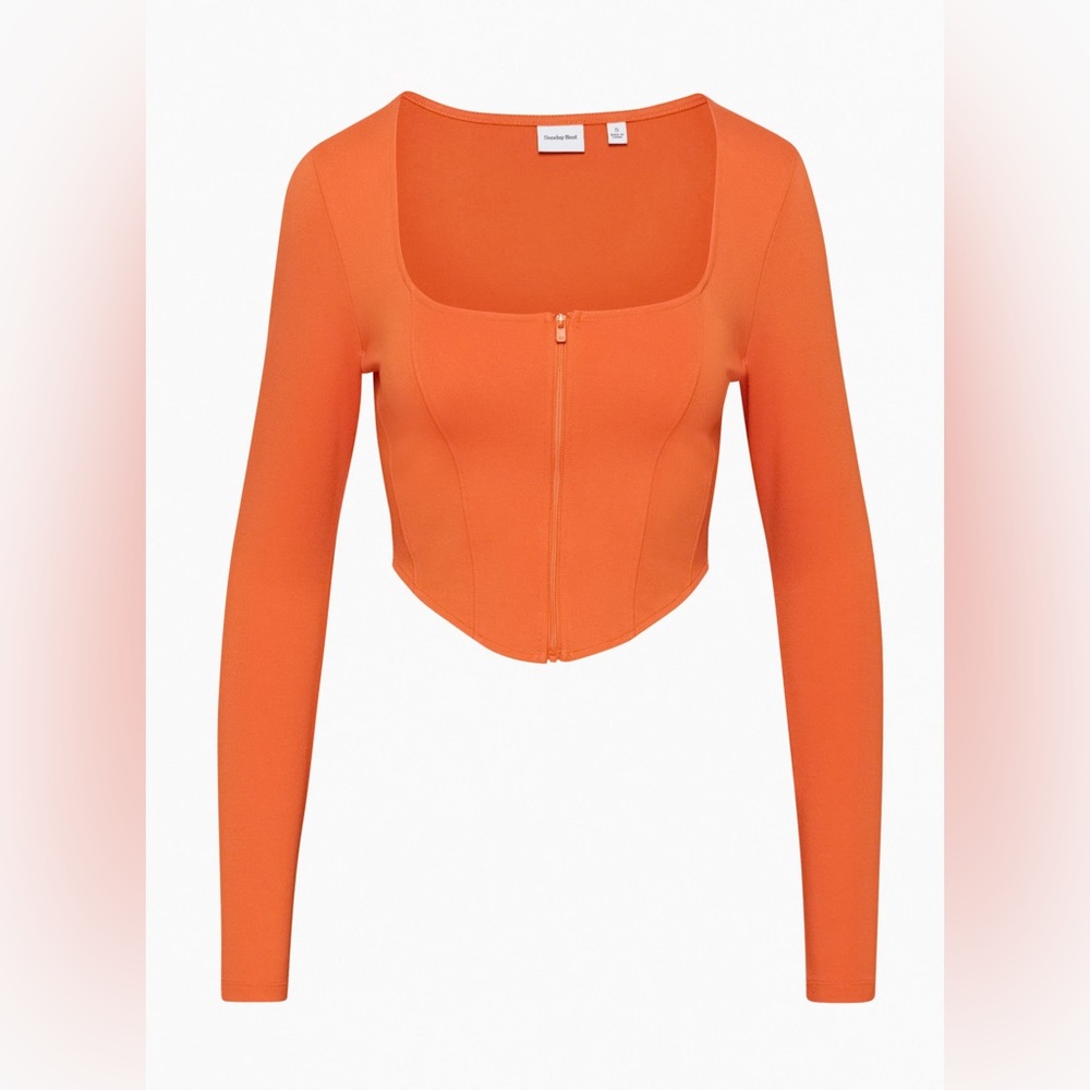 Aritzia Sunday Best Maverick Longsleeve